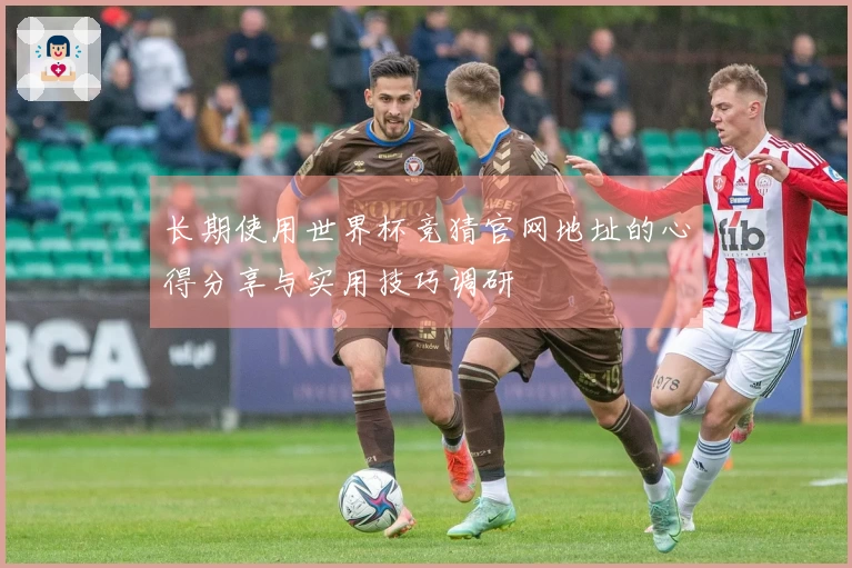 长期使用世界杯竞猜官网地址的心得分享与实用技巧调研