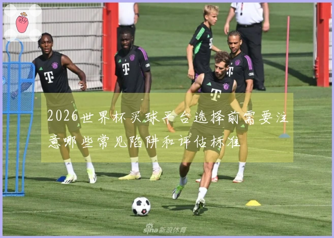 2026世界杯买球平台选择前需要注意哪些常见陷阱和评估标准
