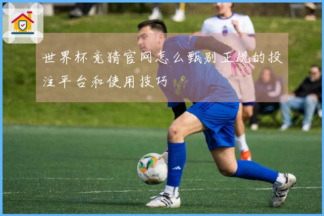 世界杯竞猜官网怎么甄别正规的投注平台和使用技巧