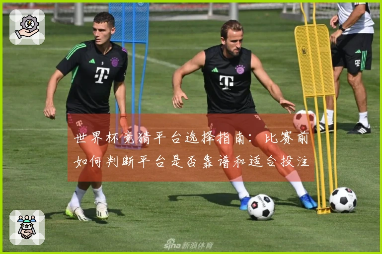 世界杯竞猜平台选择指南：比赛前如何判断平台是否靠谱和适合投注