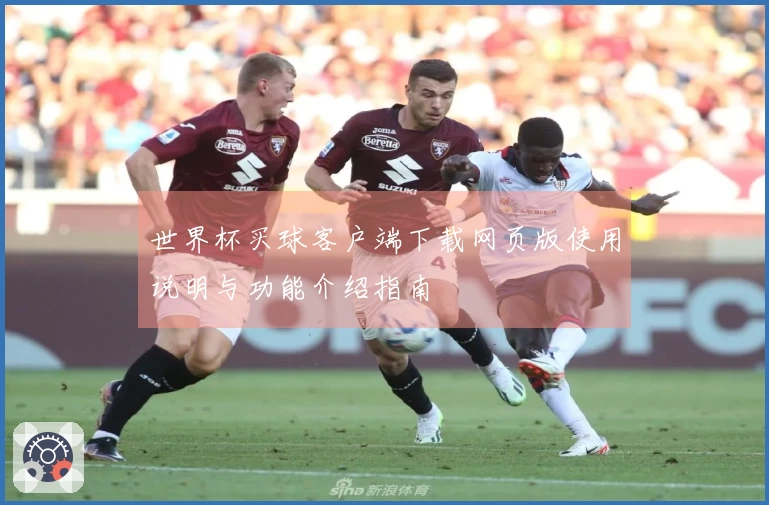 世界杯买球客户端下载网页版使用说明与功能介绍指南