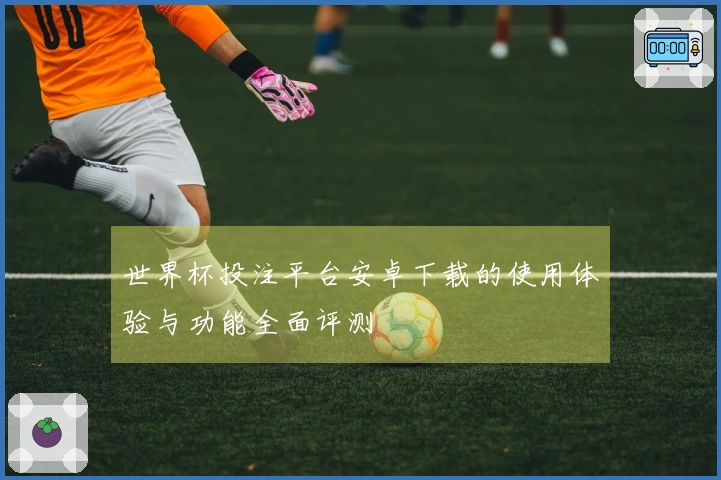世界杯投注平台安卓下载的使用体验与功能全面评测