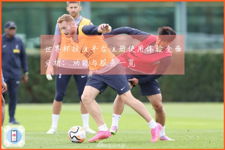 世界杯投注平台注册使用体验全面分析：功能与服务一览