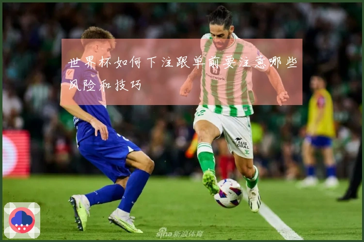 世界杯如何下注跟单前要注意哪些风险和技巧