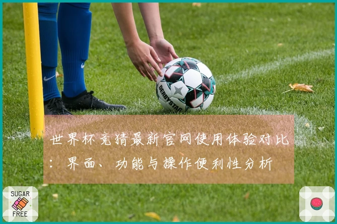 世界杯竞猜最新官网使用体验对比：界面、功能与操作便利性分析