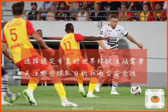 选择稳定可靠的世界杯投注站需要关注哪些球队分析和平台安全性