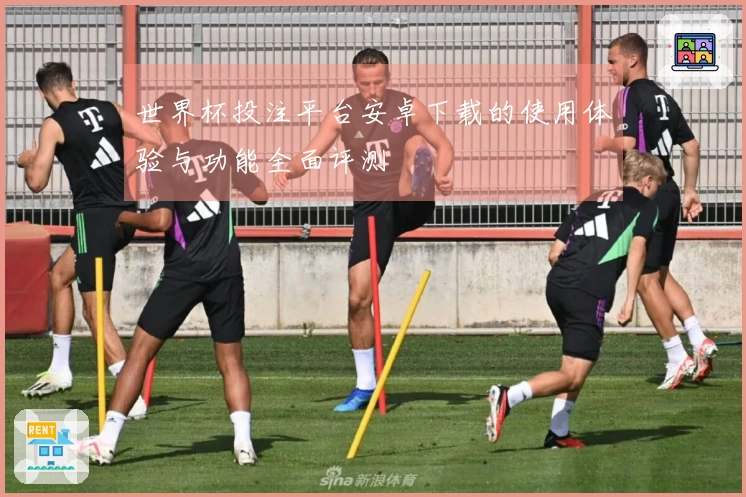 世界杯投注平台安卓下载的使用体验与功能全面评测