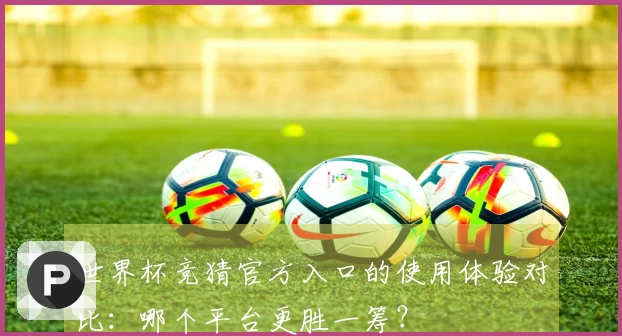 世界杯竞猜官方入口的使用体验对比：哪个平台更胜一筹？