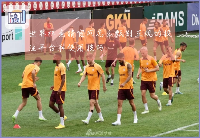世界杯竞猜官网怎么甄别正规的投注平台和使用技巧