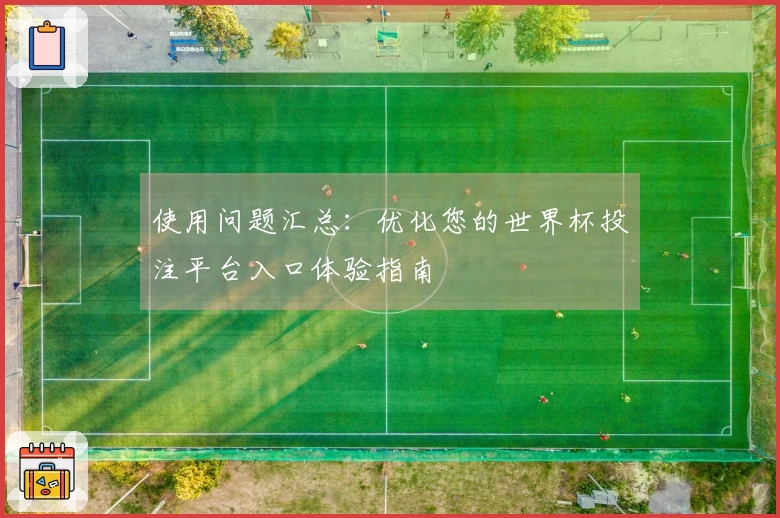 使用问题汇总：优化您的世界杯投注平台入口体验指南